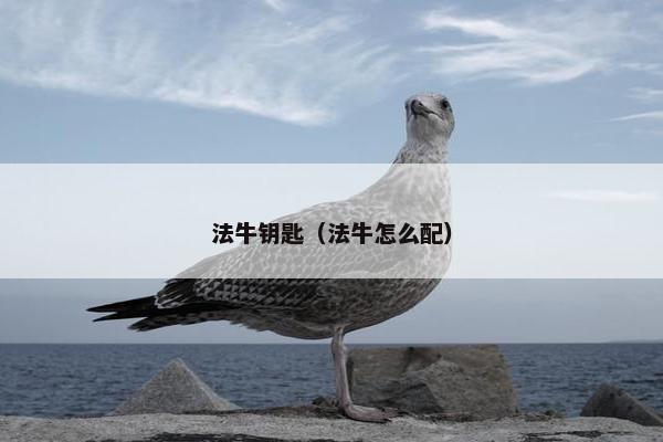 法牛钥匙（法牛怎么配）