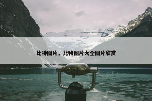 比特图片，比特图片大全图片欣赏