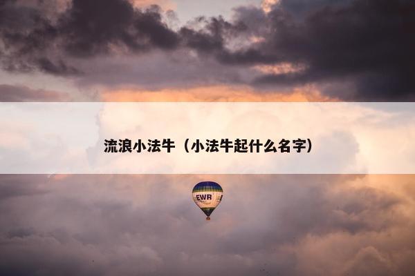流浪小法牛（小法牛起什么名字）