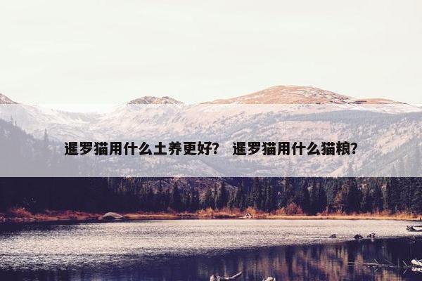 暹罗猫用什么土养更好？ 暹罗猫用什么猫粮？