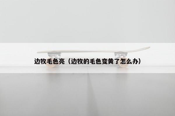 边牧毛色亮（边牧的毛色变黄了怎么办）