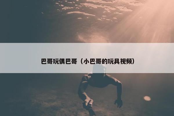 巴哥玩偶巴哥（小巴哥的玩具视频）