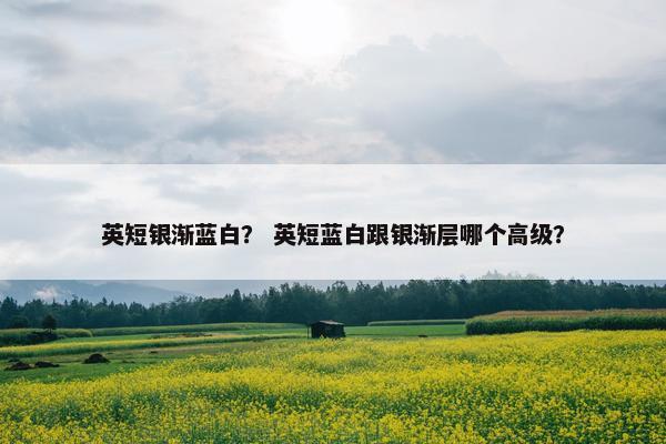 英短银渐蓝白？ 英短蓝白跟银渐层哪个高级？
