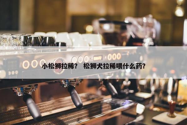 小松狮拉稀？ 松狮犬拉稀喂什么药？