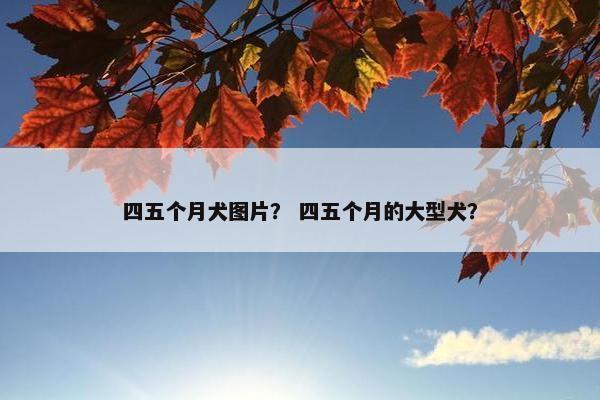 四五个月犬图片？ 四五个月的大型犬？