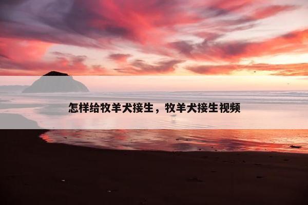 怎样给牧羊犬接生，牧羊犬接生视频