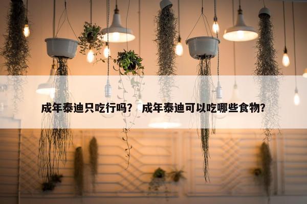 成年泰迪只吃行吗？ 成年泰迪可以吃哪些食物？