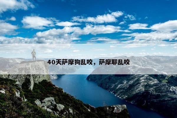 40天萨摩狗乱咬，萨摩耶乱咬