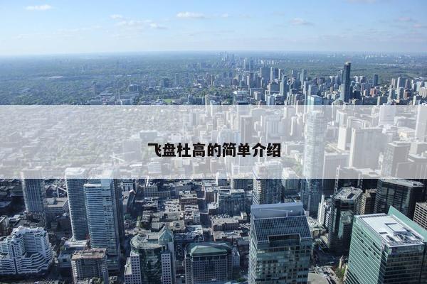 飞盘杜高的简单介绍