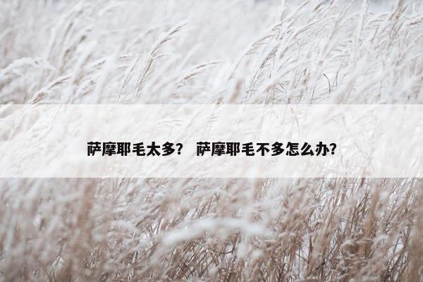 萨摩耶毛太多？ 萨摩耶毛不多怎么办？