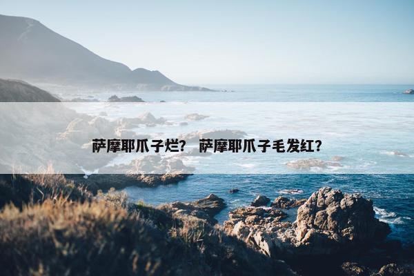 萨摩耶爪子烂？ 萨摩耶爪子毛发红？