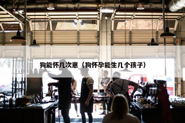 狗能怀几次崽（狗怀孕能生几个孩子）