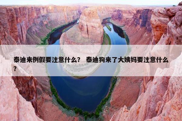 泰迪来例假要注意什么？ 泰迪狗来了大姨妈要注意什么？