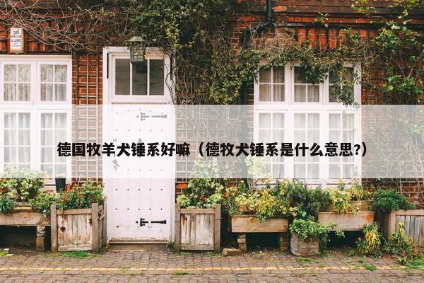 德国牧羊犬锤系好嘛（德牧犬锤系是什么意思?）