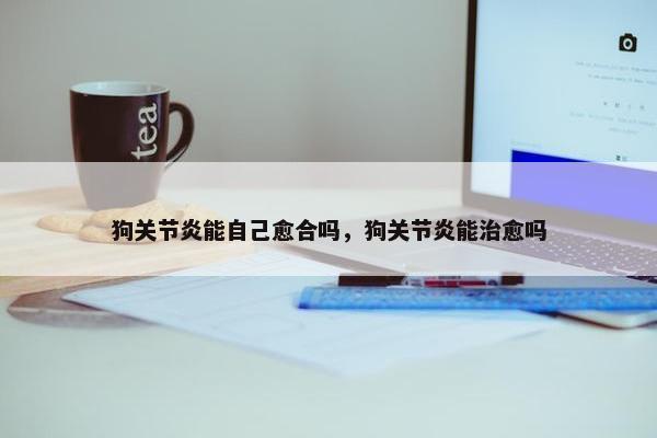 狗关节炎能自己愈合吗，狗关节炎能治愈吗