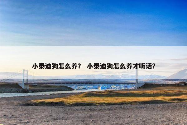 小泰迪狗怎么养？ 小泰迪狗怎么养才听话？