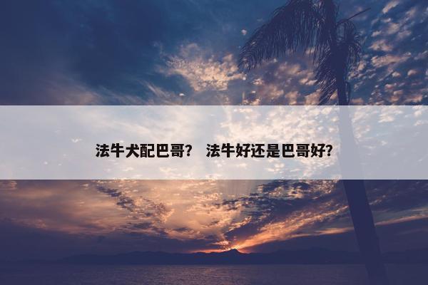 法牛犬配巴哥？ 法牛好还是巴哥好？