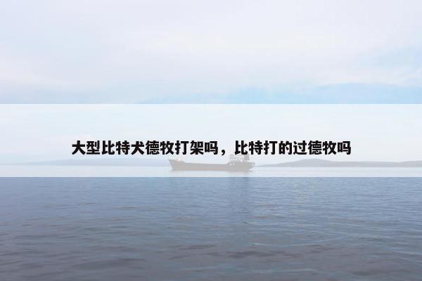 大型比特犬德牧打架吗，比特打的过德牧吗