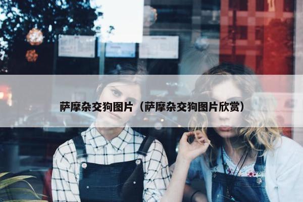 萨摩杂交狗图片（萨摩杂交狗图片欣赏）