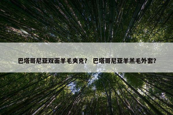 巴塔哥尼亚双面羊毛夹克？ 巴塔哥尼亚羊羔毛外套？