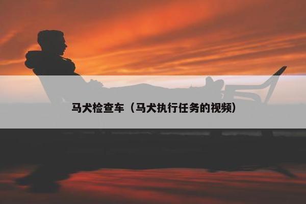 马犬检查车（马犬执行任务的视频）