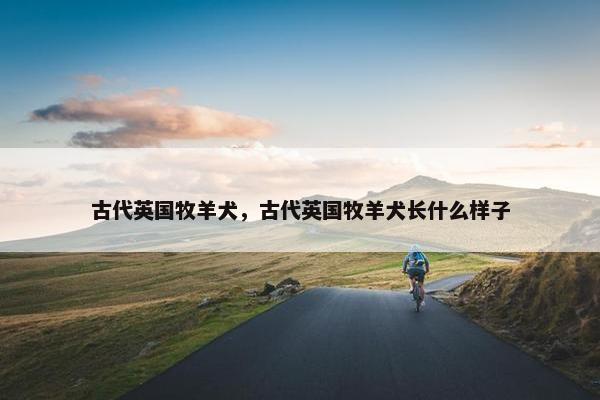 古代英国牧羊犬，古代英国牧羊犬长什么样子