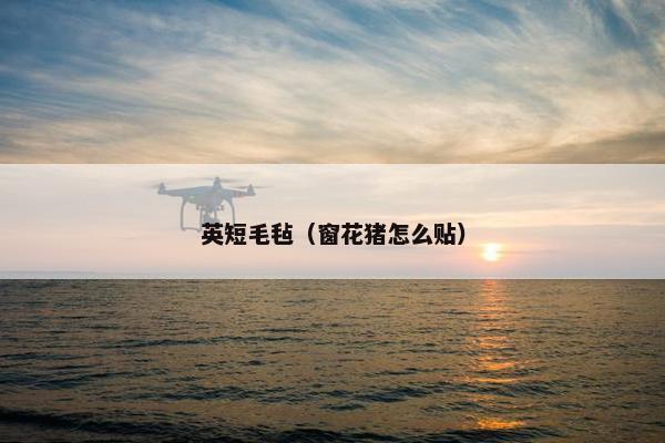 英短毛毡（窗花猪怎么贴）