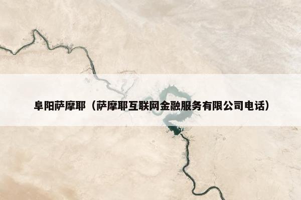 阜阳萨摩耶（萨摩耶互联网金融服务有限公司电话）