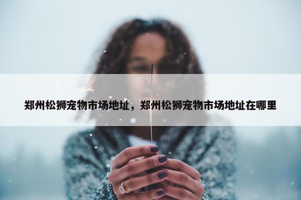 郑州松狮宠物市场地址，郑州松狮宠物市场地址在哪里