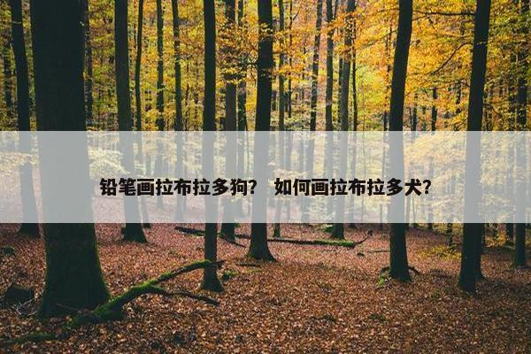 铅笔画拉布拉多狗？ 如何画拉布拉多犬？