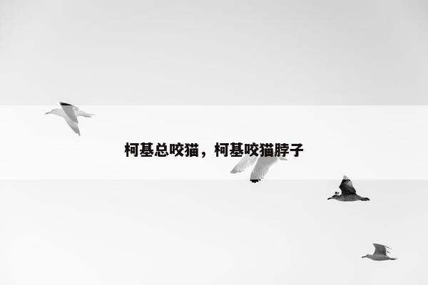 柯基总咬猫，柯基咬猫脖子