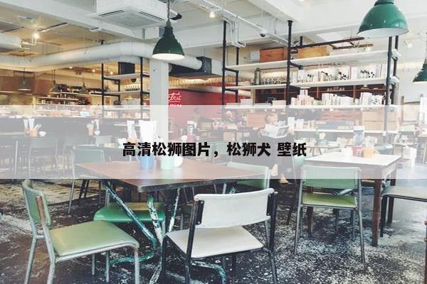 高清松狮图片，松狮犬 壁纸