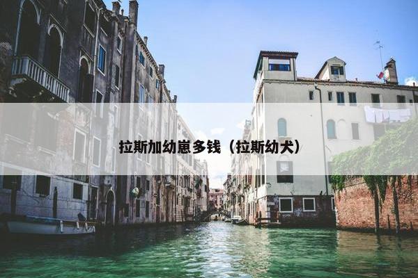 拉斯加幼崽多钱（拉斯幼犬）