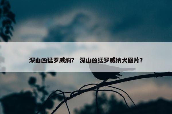 深山凶猛罗威纳？ 深山凶猛罗威纳犬图片？