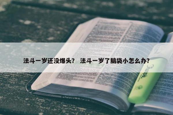 法斗一岁还没爆头？ 法斗一岁了脑袋小怎么办？