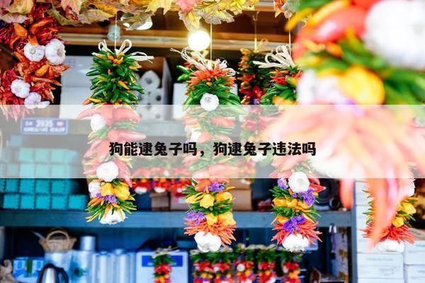 狗能逮兔子吗，狗逮兔子违法吗