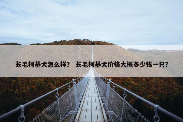 长毛柯基犬怎么样？ 长毛柯基犬价格大概多少钱一只？