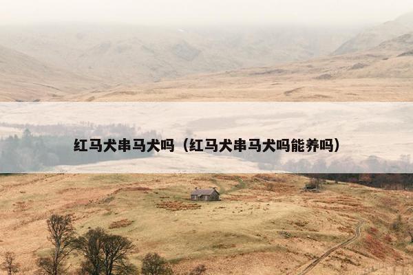 红马犬串马犬吗（红马犬串马犬吗能养吗）