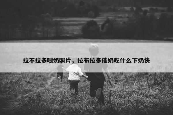 拉不拉多喂奶照片，拉布拉多催奶吃什么下奶快