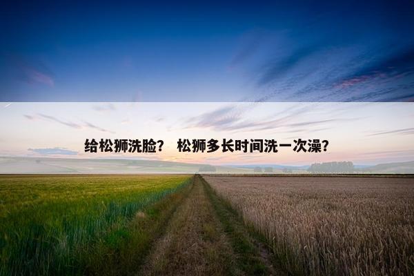 给松狮洗脸？ 松狮多长时间洗一次澡？