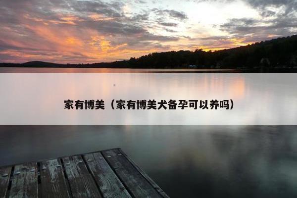 家有博美（家有博美犬备孕可以养吗）