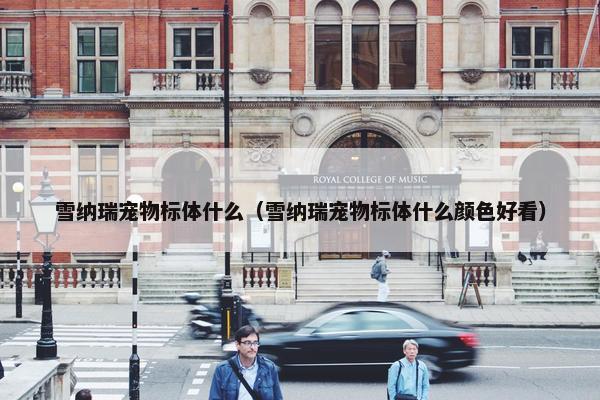 雪纳瑞宠物标体什么（雪纳瑞宠物标体什么颜色好看）