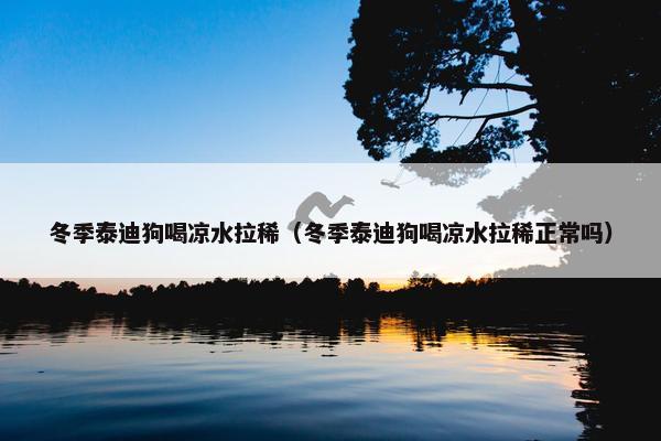 冬季泰迪狗喝凉水拉稀（冬季泰迪狗喝凉水拉稀正常吗）