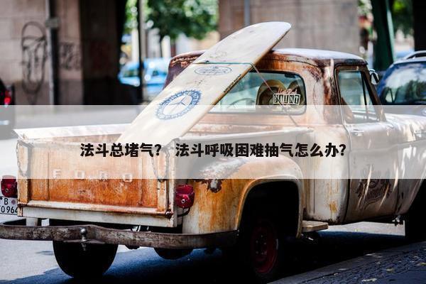 法斗总堵气？ 法斗呼吸困难抽气怎么办？