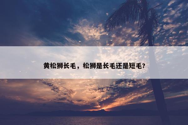 黄松狮长毛，松狮是长毛还是短毛?