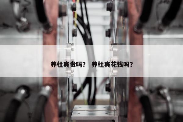 养杜宾贵吗？ 养杜宾花钱吗？