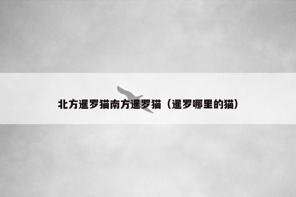 北方暹罗猫南方暹罗猫（暹罗哪里的猫）