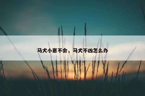 马犬小崽不会，马犬不凶怎么办