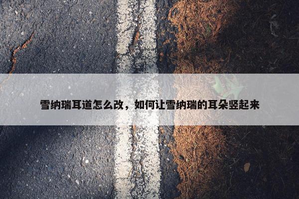 雪纳瑞耳道怎么改，如何让雪纳瑞的耳朵竖起来