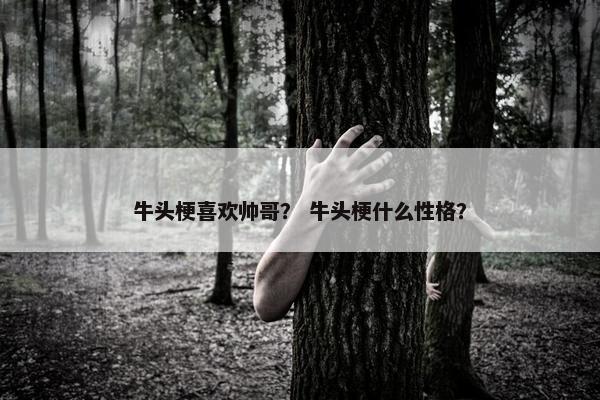 牛头梗喜欢帅哥？ 牛头梗什么性格？